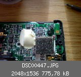 DSC00447.JPG