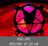 R16.JPG