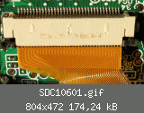 SDC10601.gif